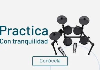 Categoría baterías electrónicas